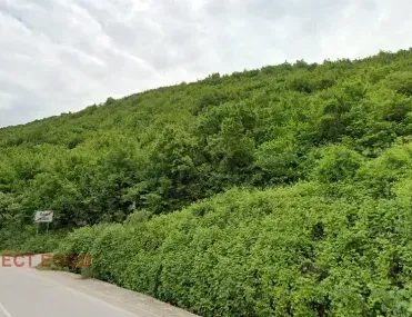 Парцел, Покрайнини, Пловдив - снимка 2 от 15