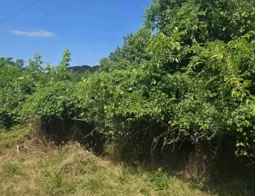 Парцел, Ловеч, Северозападна България