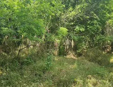 Парцел, Ловеч, Северозападна България - снимка 6 от 9