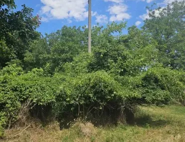 Парцел, Ловеч, Северозападна България - снимка 4 от 9