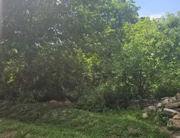 Парцел, Ловеч, Северозападна България - снимка 8 от 9