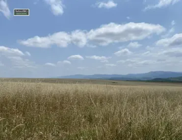 Парцел, Габрово, Северна България - снимка 2 от 13