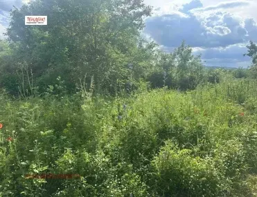 Парцел, Кърджали, Южна България - снимка 3 от 8