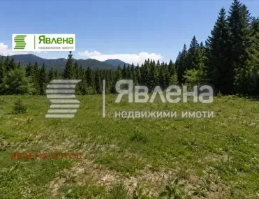 Парцел, Самоков, Югозападна България - снимка 4 от 6