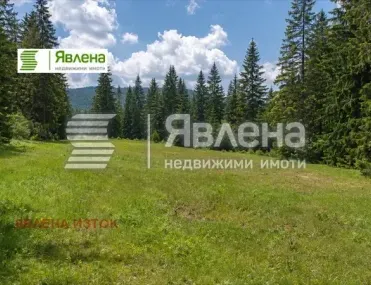 Парцел, Самоков, Югозападна България - снимка 5 от 6