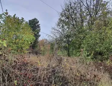 Парцел, Кюстендил, Югозападна България - снимка 2 от 15