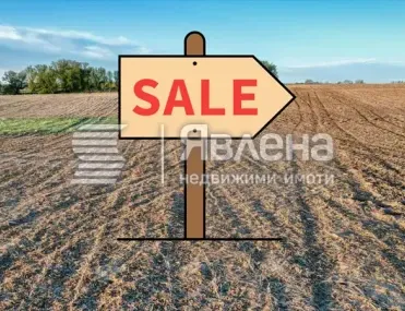 Парцел, Покрайнини, Пловдив - снимка 3 от 4
