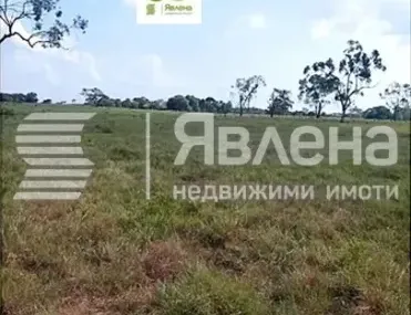 Парцел, Изгрев, Варна