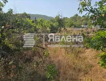 Парцел, Пазарджик, Южна България - снимка 2 от 5