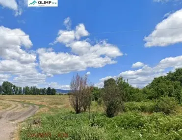 Парцел, с. Волуяк, София - снимка 3 от 5
