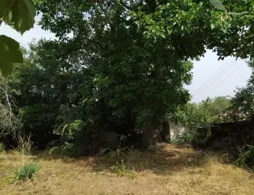 Парцел, Перник, Югозападна България - снимка 5 от 12