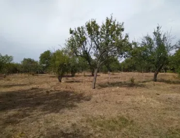 Парцел, Перник, Югозападна България - снимка 7 от 12
