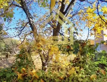 Парцел, гр. Банкя, София - снимка 4 от 10