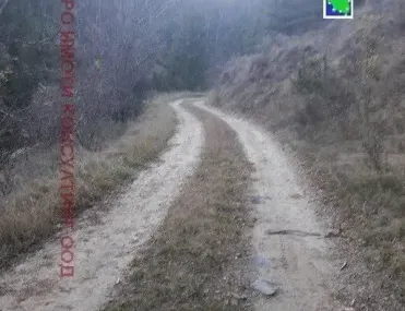Земеделска земя, Чепеларе, Южна България - снимка 4 от 10