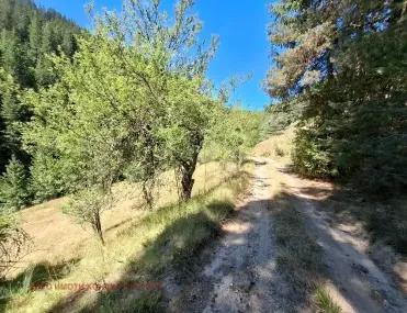 Земеделска земя, Чепеларе, Южна България - снимка 2 от 10