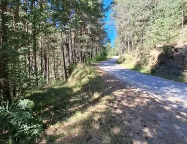 Земеделска земя, Чепеларе, Южна България - снимка 6 от 10
