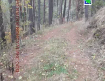 Земеделска земя, Чепеларе, Южна България - снимка 5 от 10