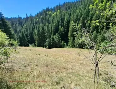 Земеделска земя, Чепеларе, Южна България - снимка 9 от 10