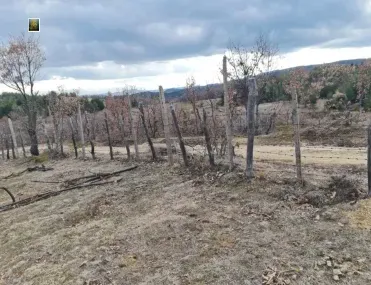Земеделска земя, Кърджали, Южна България