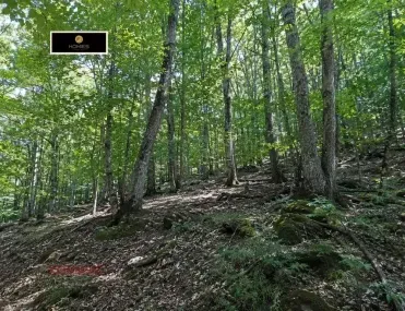 Земеделска земя, Габрово, Северна България