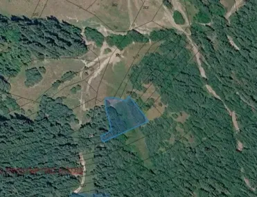 Земеделска земя, Самоков, Югозападна България - снимка 2 от 4