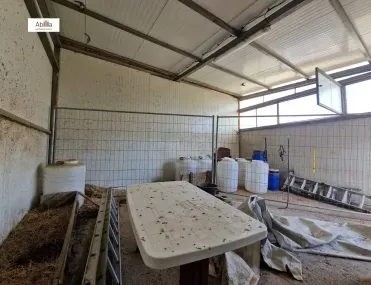 Земеделска земя, Покрайнини, Благоевград - снимка 12 от 17