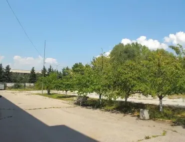 Други, Кюстендил, Югозападна България - снимка 9 от 18