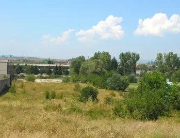 Други, Кюстендил, Югозападна България - снимка 16 от 18