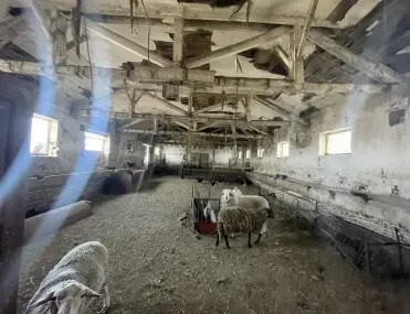 Други, Раковски, Южна България - снимка 3 от 8