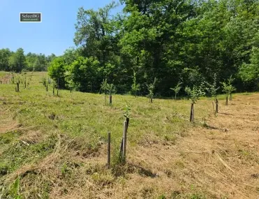 Други, Габрово, Северна България - снимка 5 от 18