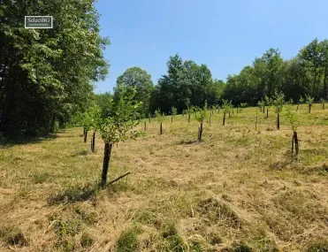 Други, Габрово, Северна България - снимка 6 от 18