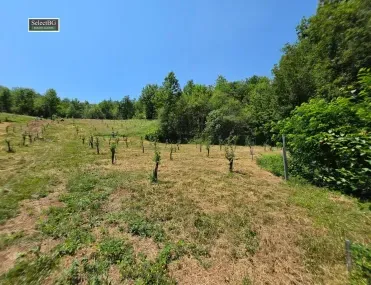 Други, Габрово, Северна България - снимка 2 от 18