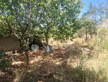 Къща, Търговище, Североизточна България - снимка 13 от 16