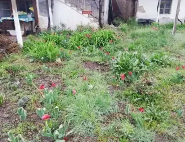 Къща, Пазарджик, Южна България - снимка 5 от 8
