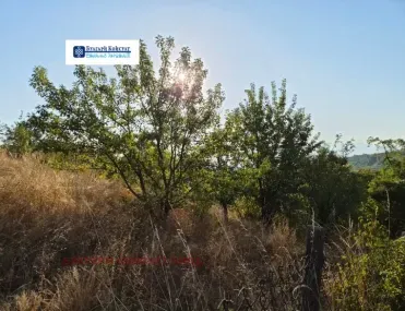 Парцел, Бобов Дол, Югозападна България - снимка 7 от 11