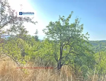 Парцел, Бобов Дол, Югозападна България - снимка 5 от 11