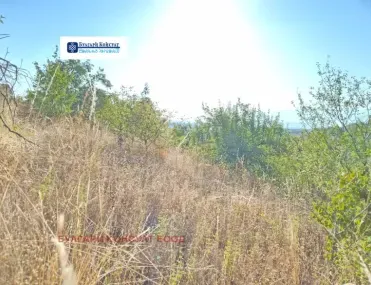 Парцел, Бобов Дол, Югозападна България - снимка 2 от 11
