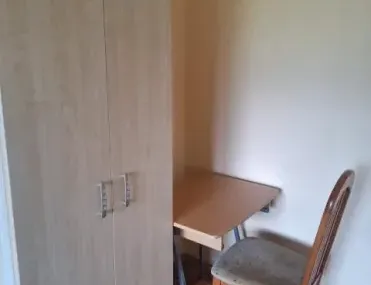 Стая, Мусагеница, София