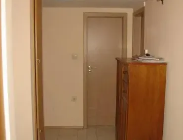 Стая, Дървеница, София