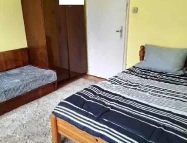 Стая, Борово, София