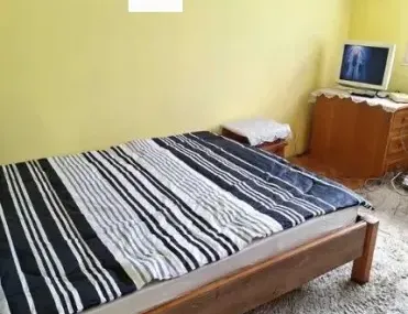 Стая, Борово, София - снимка 6 от 8