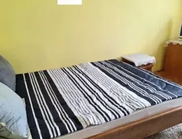 Стая, Борово, София - снимка 7 от 8
