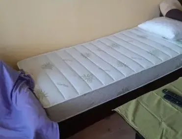 Стая, Разсадника, София - снимка 2 от 5