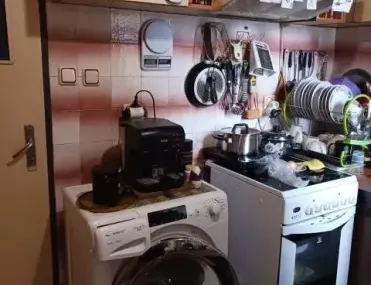 Стая, Света троица, София