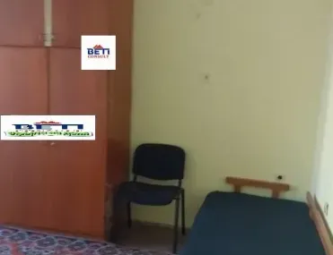 Стая, Красно село, София