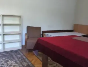 Стая, Оборище, София