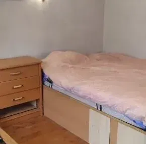 Стая, Стрелбище, София - снимка 3 от 5