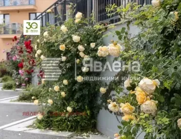 1-стаен, Несебър, Югоизточна България - снимка 4 от 9