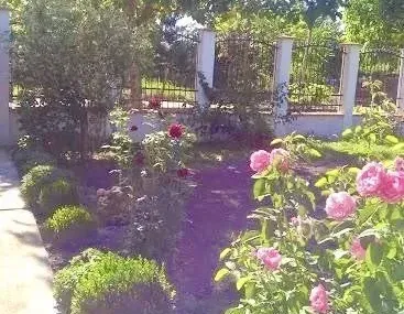 Къща, Враца, Северозападна България - снимка 7 от 18