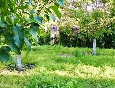 Къща, Враца, Северозападна България - снимка 6 от 18